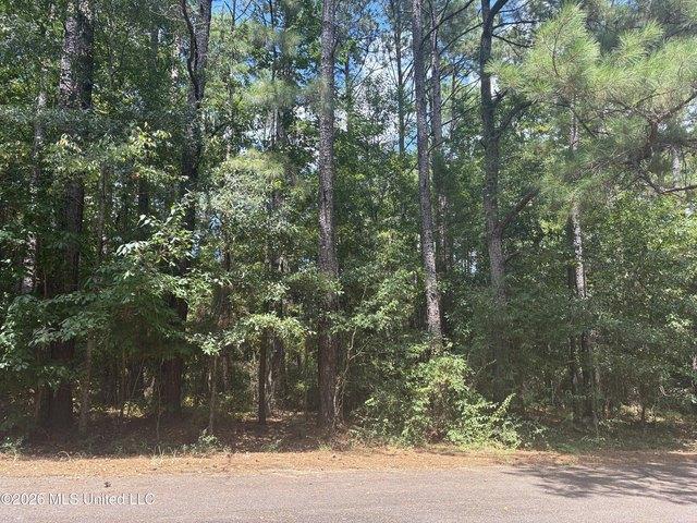 Land for sale in Mccomb, Mississippi