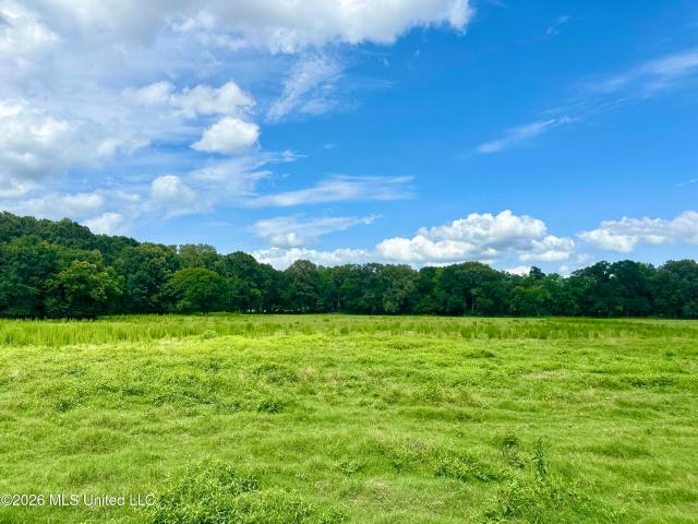 Land for sale in Pickens, Mississippi