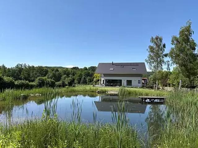 Maison vente à Mulhouse, Leymen