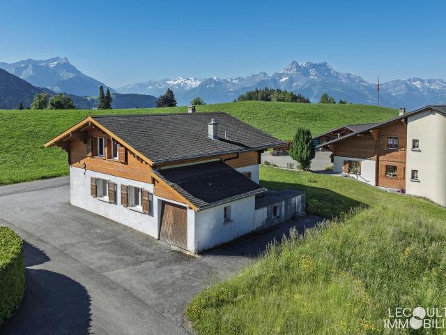 Haus kaufen in Leysin, Waadt