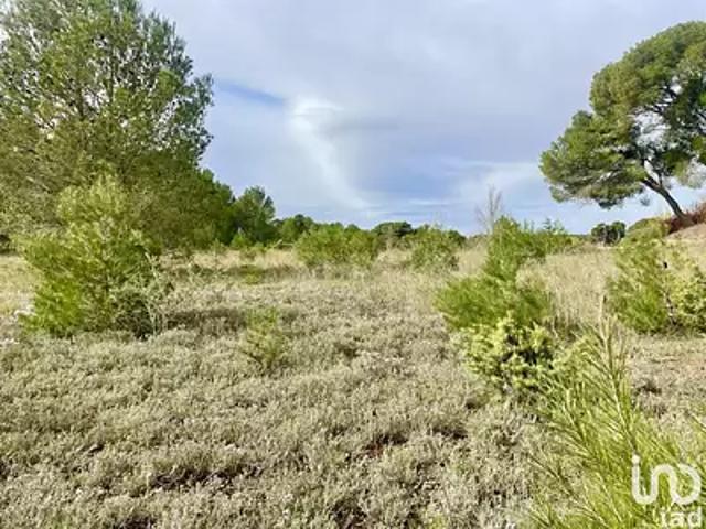 Terrain vente à Narbonne, Lézignan-corbières