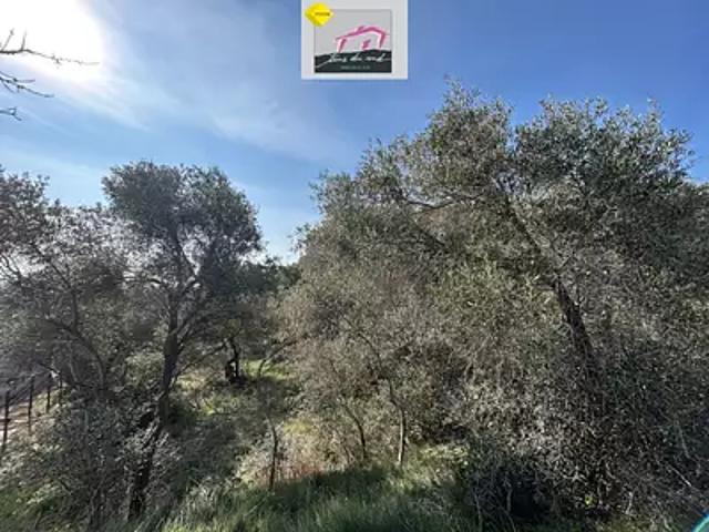 Terrain vente à Narbonne, Lézignan-corbières
