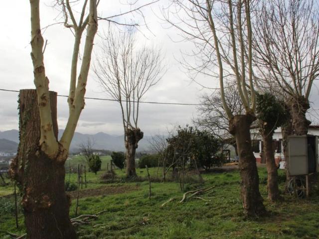 Apartamento en alquiler en Lezo, Guipúzcoa
