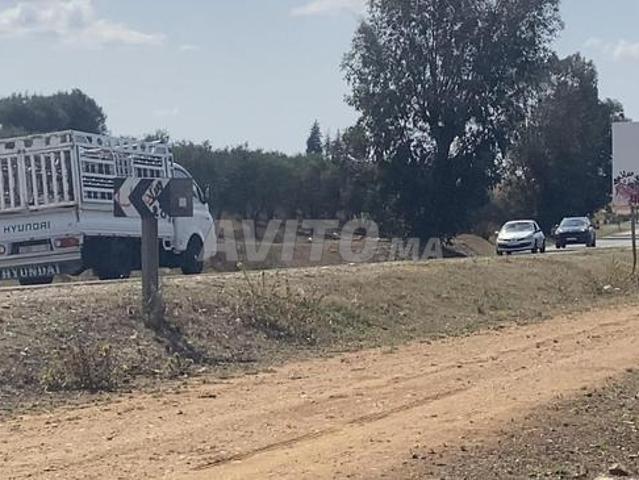 Propriété vente à Sidi Allal El Bahraoui