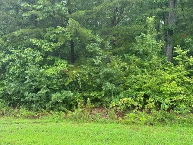 Land for sale in Iron Station, North Carolina