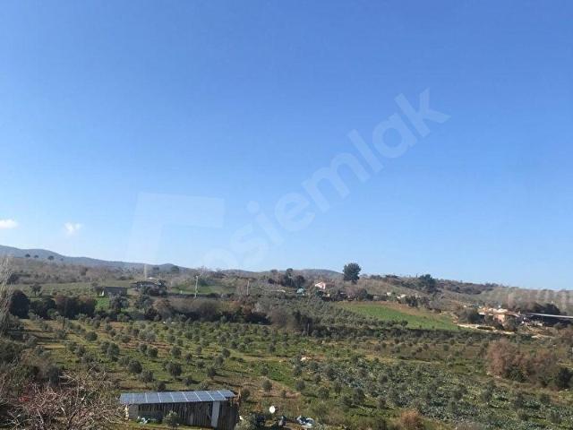Ödemiş, İzmir içerisinde satılık mülk