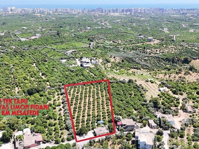Erdemli, Mersin içerisinde satılık mülk
