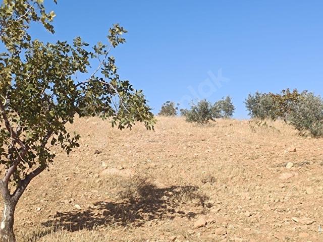 Nizip, Gaziantep içerisinde satılık mülk
