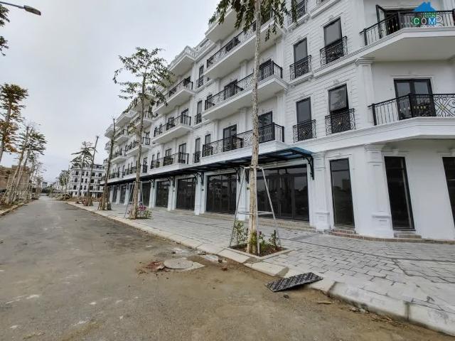 Biệt Thự bán tại Hoàn Kiếm, Hà Nội