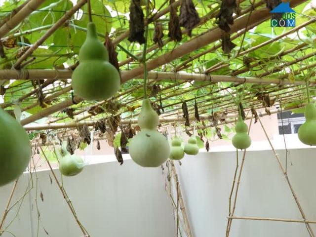 Biệt Thự bán tại Ngô Quyền, Hải Phòng