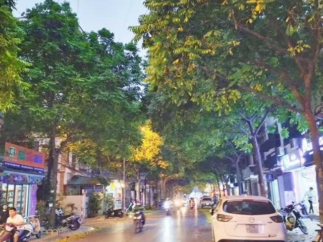 Biệt Thự bán tại Hoàn Kiếm, Hà Nội