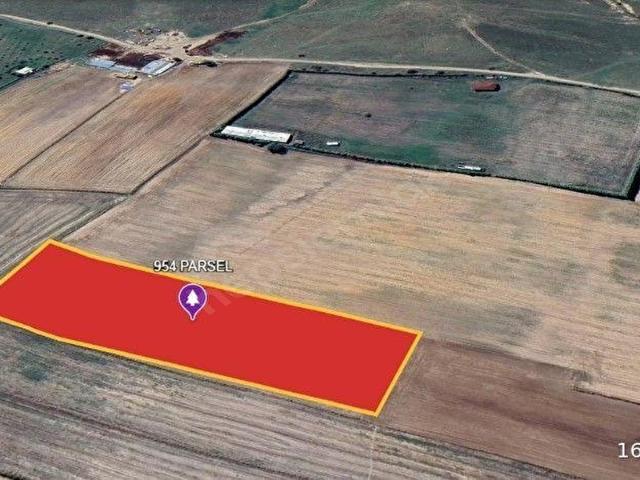 Hayrabolu, Tekirdağ içerisinde satılık Arsa