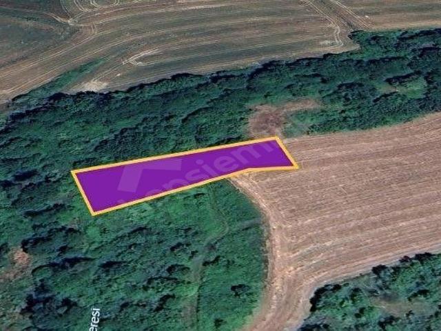 Saray, Tekirdağ içerisinde satılık Arsa