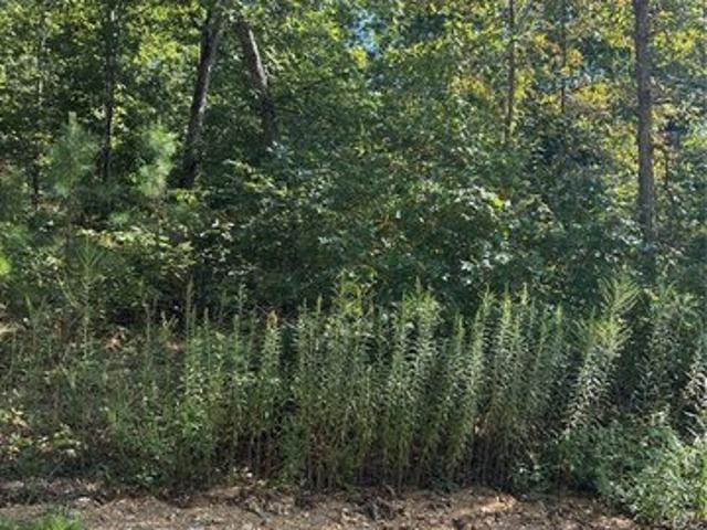 Land for sale in Ellington, Reynolds County