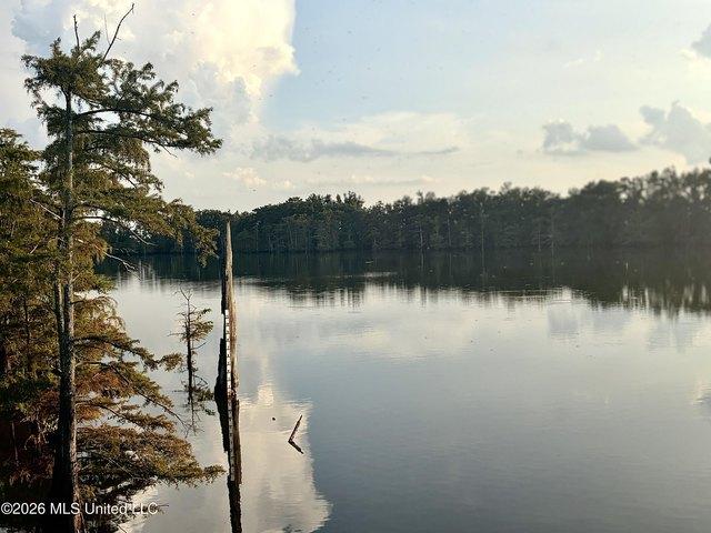 House for sale in Tchula, Mississippi