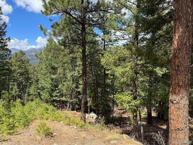 Land for sale in Evergreen, Colorado