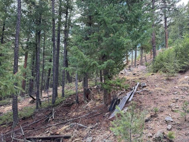 Land for sale in Evergreen, Colorado