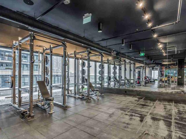 Apartment for rent in Spadina—Fort York, Toronto