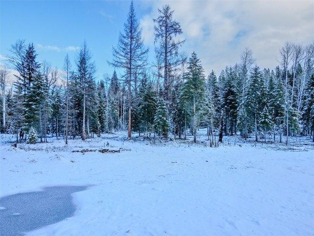 Land for sale in Libby, Montana