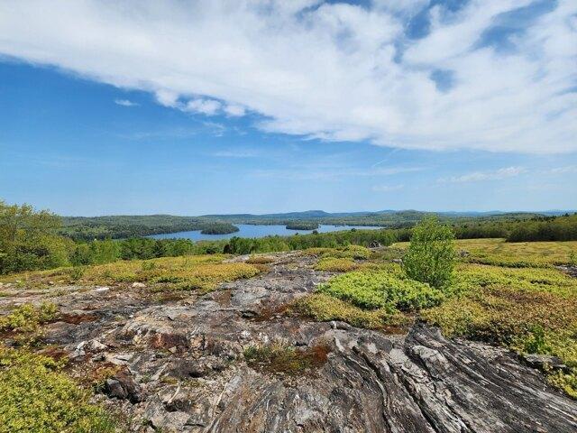 Land for sale in Waldo, Maine