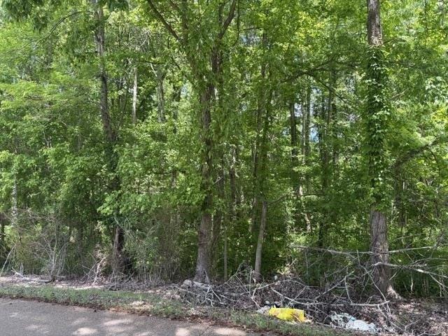 Land for sale in Tennessee