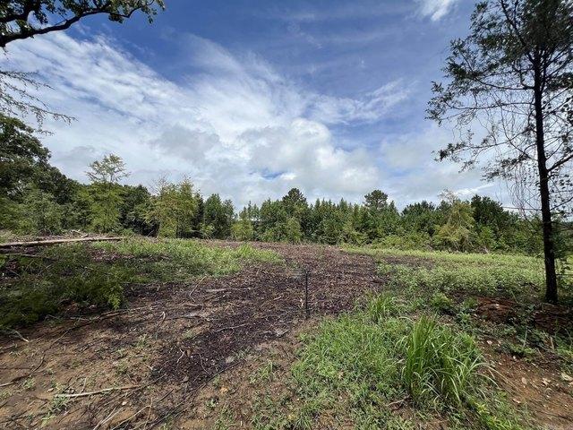 Land for sale in Vilonia, Faulkner County