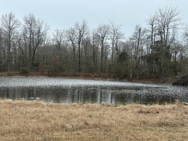 Land for sale in Ark