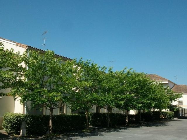 Appartement vente à Libourne