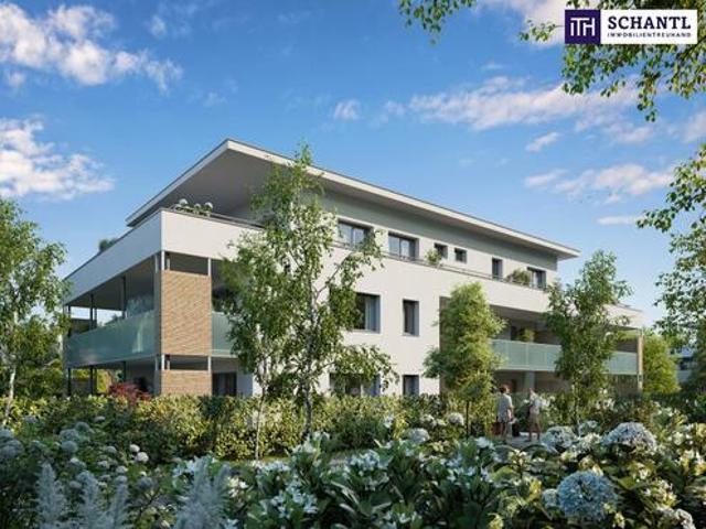 Wohnung kaufen in Liebenau, Gersdorf-Feistritz