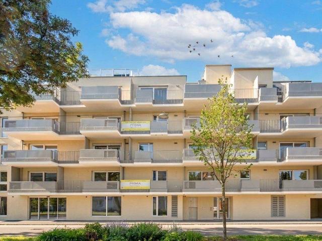 Apartment kaufen in Donaustadt, Wien