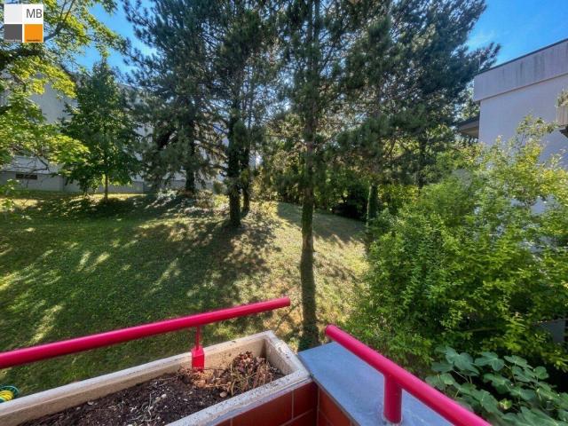 Apartment kaufen in Liesing, Wien