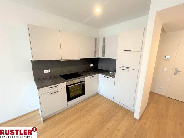 Wohnung mieten in Katastralgemeinde Graz Stadt-Weinitzen, Graz