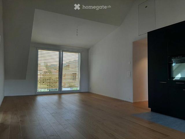 Apartment mieten in Rellsten, Adliswil