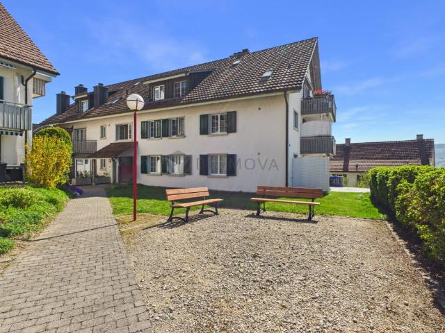 Wohnung kaufen in Schneisingen, Aargau