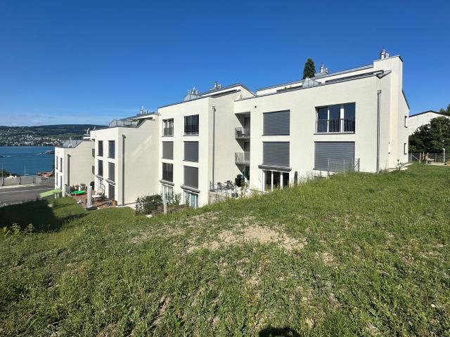 Apartment mieten in Horgen, Zürich