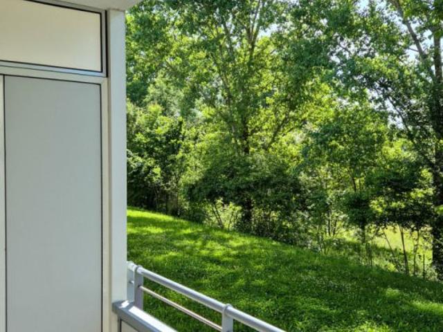 Wohnung mieten in Hutholz, Chemnitz