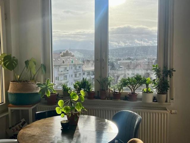 Wohnung mieten in Stuttgart-West, Stuttgart