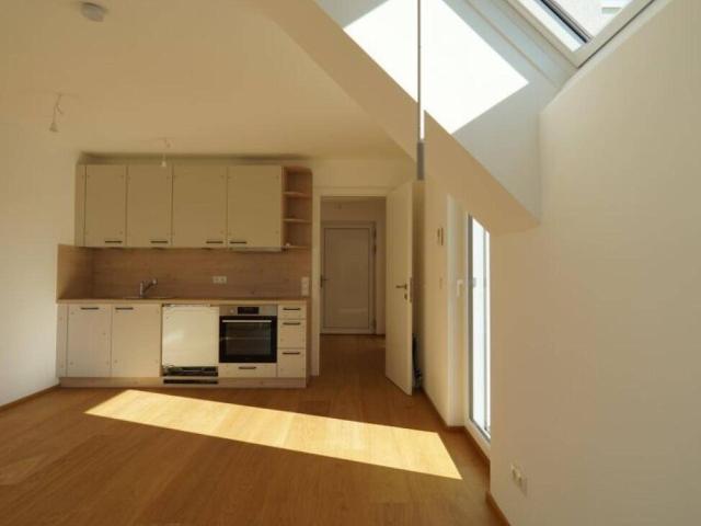 Apartment mieten in Donaustadt, Wien