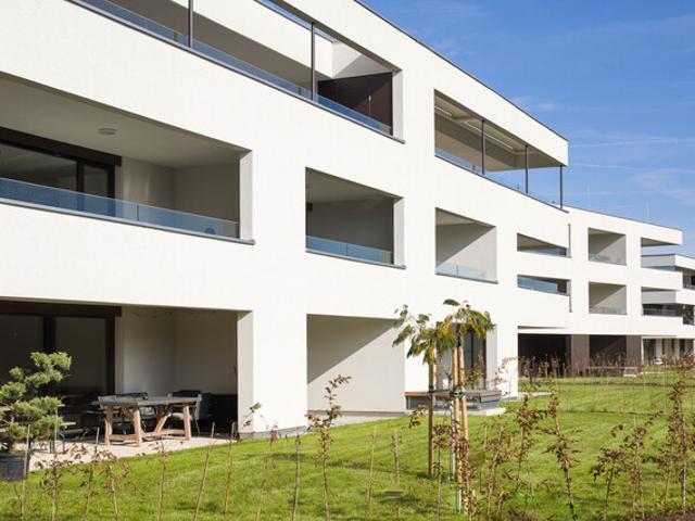 Apartment kaufen in Höchst, Vorarlberg