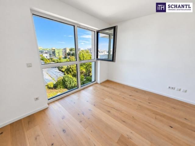 Terrassenwohnung kaufen in Donaustadt, Wien
