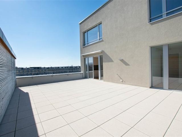 Wohnung mieten in Lyss, Bern