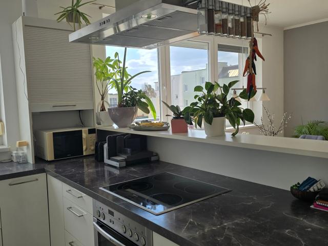 Wohnung mieten in Ebreichsdorf, Niederösterreich