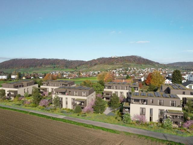 Wohnung kaufen in Stein am Rhein, Schaffhausen