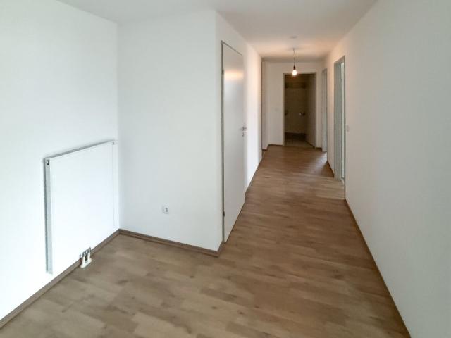 Wohnung mieten in Mailberg, Niederösterreich