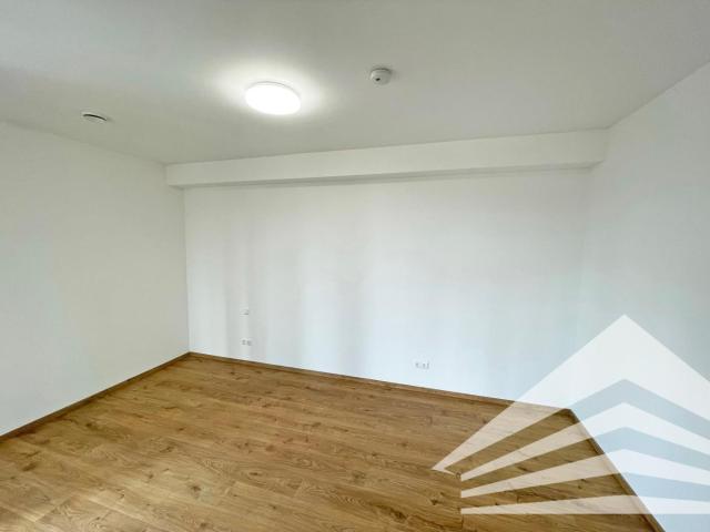 Apartment mieten in Linz, Wankmüllerhofviertel