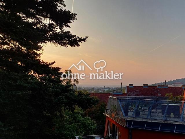 Wohnung kaufen in Schöffelstadt, Mödling