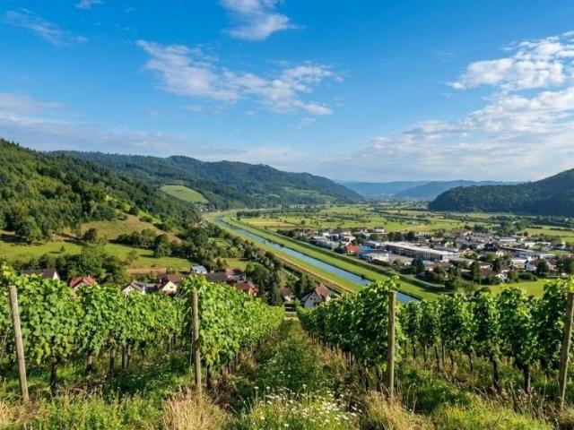 Apartment mieten in Biberach, Baden-Württemberg