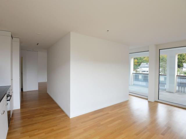 Apartment kaufen in Uster, Zürich