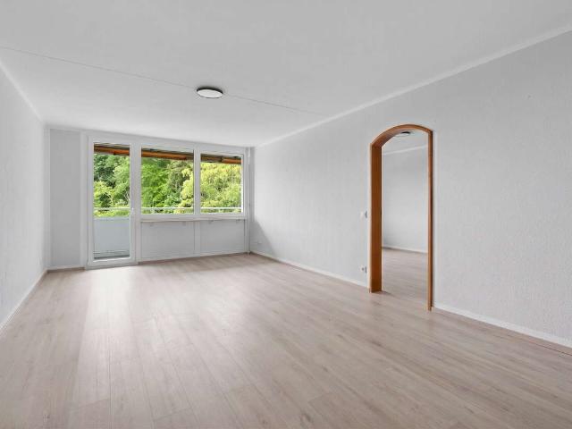 Wohnung kaufen in Waldkirch, Landkreis Emmendingen