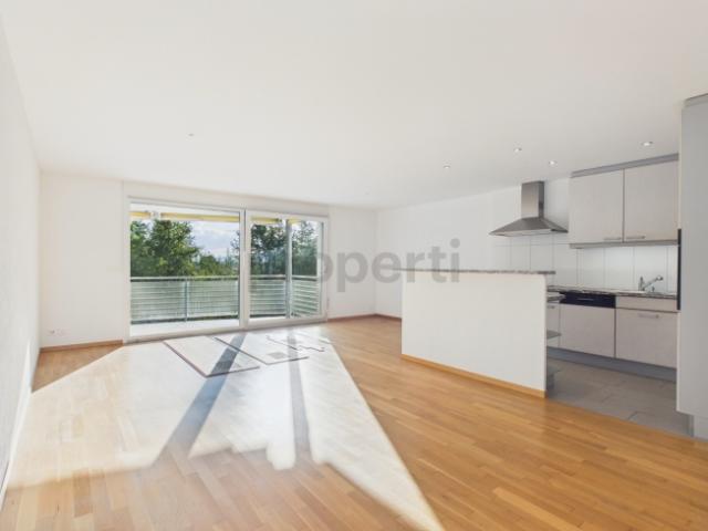 Wohnung kaufen in Wetzikon (ZH), Zürich